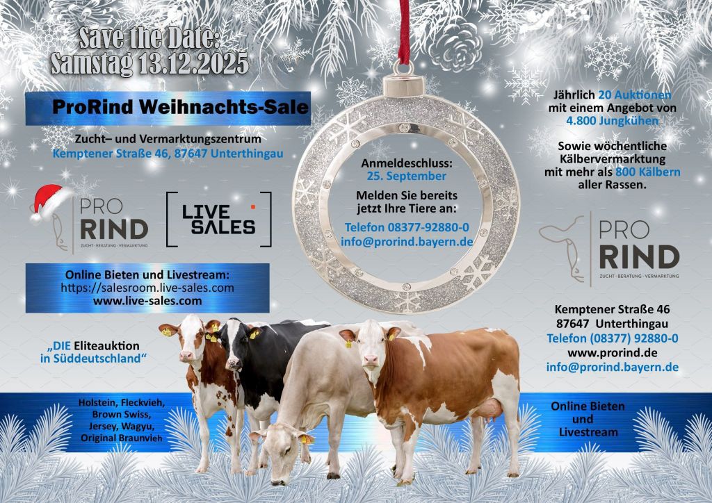 4. ProRind Weihnachts-Sale am Samstag 13.12.2025