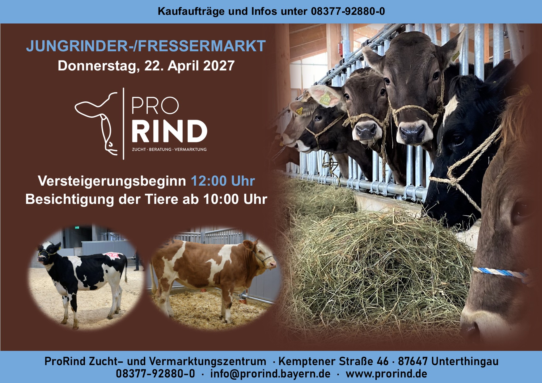 Jungrinder/Fresser/Kalbinnen: Auktion am 22.04.2027